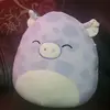 mayra clemente - @mayrahernandez4937 - TikTok