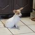 Mayra Corral - Facebook