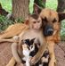 Mayra J Corralp - Facebook