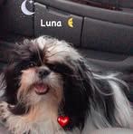 Mayra Escoto - Facebook
