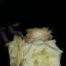 Mayra Gamboa - Facebook