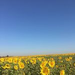 MATERNIDADE REAL | por mayra hansen 🌻 - @historiasmaternas - Instagram