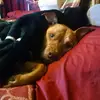 mayrajacobs935 - @mayrajacobs935 - TikTok