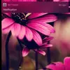 Mayralonga - @mayralonga22 - TikTok