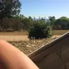 MayRa MaChado - @mayramachado616 - TikTok
