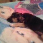 Mayra Marrufo - @mayram.1234 - Instagram