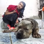 Mayra Narvaez Segovia - @motasvet - Instagram