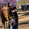 mayra nevarez❤️‍🩹🏇🏻🤪 - @nevarez2m - TikTok