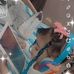 Mayra Alejandra Paz - Facebook