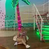 Mayra Plata - @mayraplata1 - TikTok