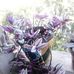 Mayra Rubio - Facebook