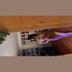 Mayra Simón Bello - @mayra.gsb7 - Instagram