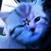 Mayra Vidal - @mayra.vidal096 - TikTok