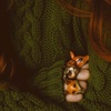 maysa.safi - @maysa.safi - TikTok