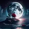 Maysoon Hasan - @maysoon.hasan74 - TikTok