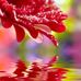 Mayte Cabrera - Facebook