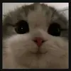 Mayte - @mayte.cabrera28 - TikTok