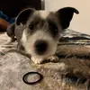 Mayte Cruz - @mayte.cruz163 - TikTok