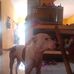 Mayte Fernandez - Facebook
