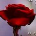 Mazen Awad - Facebook