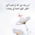 mazen Hamdan - @mazenhamdan35 - Instagram