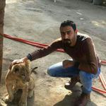 Mazen Hussein - @mazenhusseinhussein - Instagram