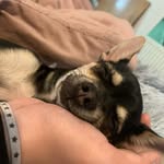 Mazie.Stone - @mazie_stone247 - Instagram