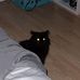 Mazie Williams - Facebook