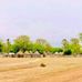 Mbaye Thiam - Facebook