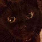 AJ - @mcdukelr - Instagram