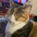 Kane McCall-Turner - Facebook