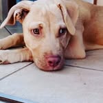 @mccall_mike_turner - Instagram