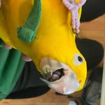 McKenna - @mckenna_da_bird - Instagram