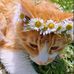 Mckenna Burke Turgeon - Facebook