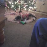 McKenna Burkett - @burkettmckenna - Instagram