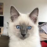 Thor McKenna-Cox - @thormckennacox - Instagram