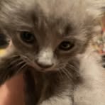 Mckenna Dailey - Facebook