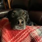 Mckenna Daily - Facebook