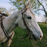 Mckenna Erickson - @mckenna_b_erickson - Instagram