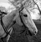 Mckenna Erickson - Facebook