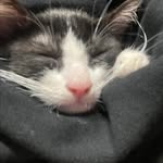 Mckenna Evans - @mckenna_evans2673 - Instagram