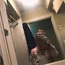 McKenna Henderson - @mckennahenderson7 - TikTok