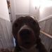 Makenna Moriarty - Facebook