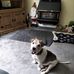 Marrian McKenna - Facebook