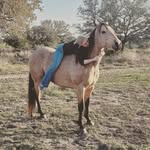 McKenna New - @mckennanew08 - Instagram