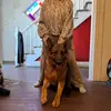 Mckenna Payne - @mckenna.payne09 - TikTok