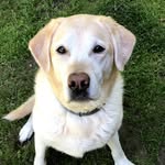 McKenna Martin-Perry - @mckenna_the_queenvt - Instagram