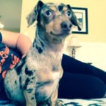 Mckenna Phelps - @mck_kenna_ - Instagram