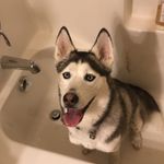 @mckenna.reed.finsta - Instagram