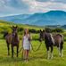 McKenna Schroeder - Facebook
